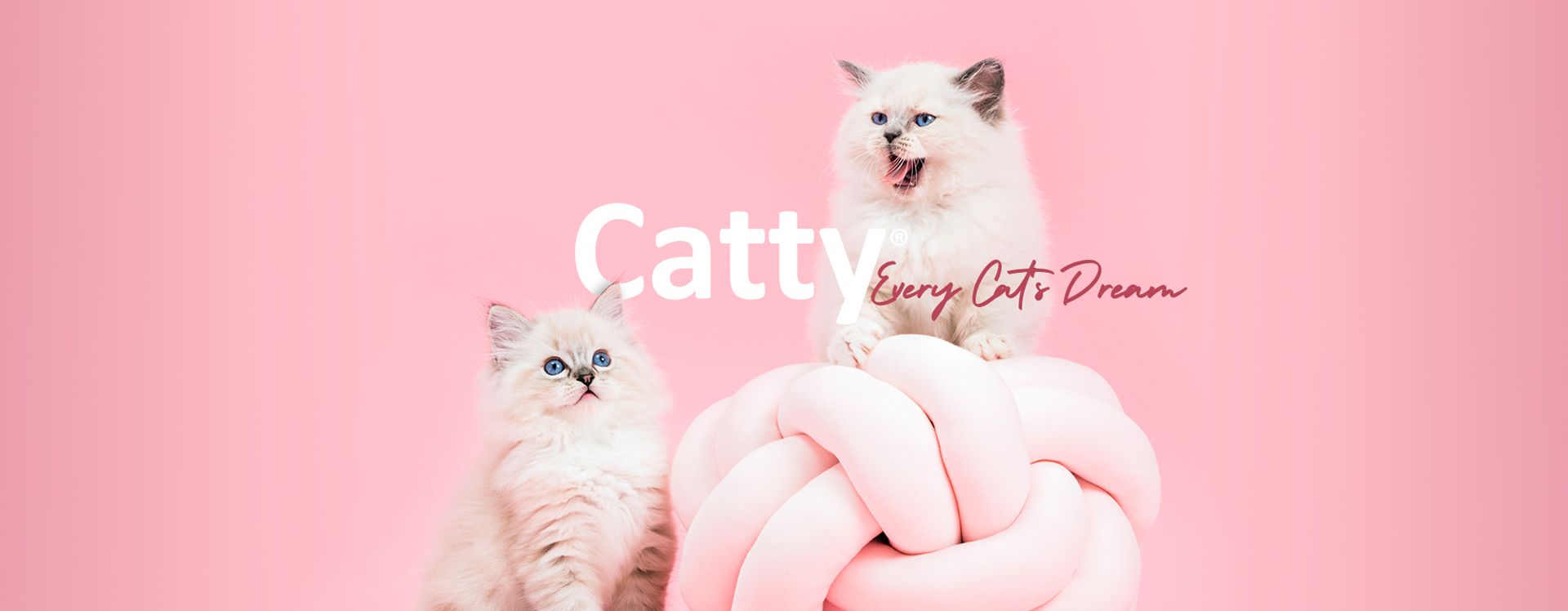 Catty"