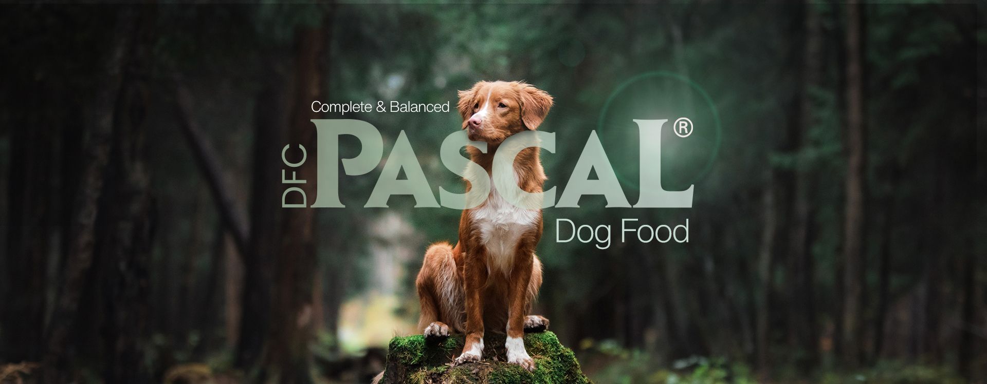 Pascal"